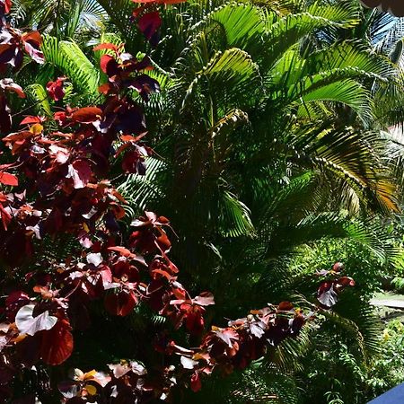 Jardin Sur Mer تير-دي-هوت المظهر الخارجي الصورة