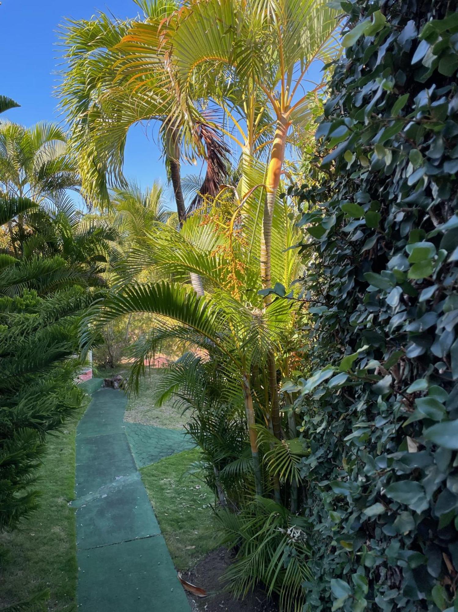 Jardin Sur Mer تير-دي-هوت المظهر الخارجي الصورة